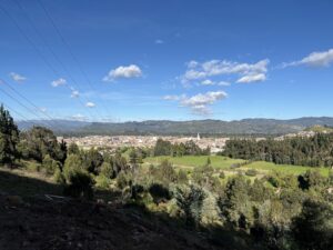 Cabaña Los Cerezos