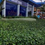 Miniatura de imagen del comercio 2