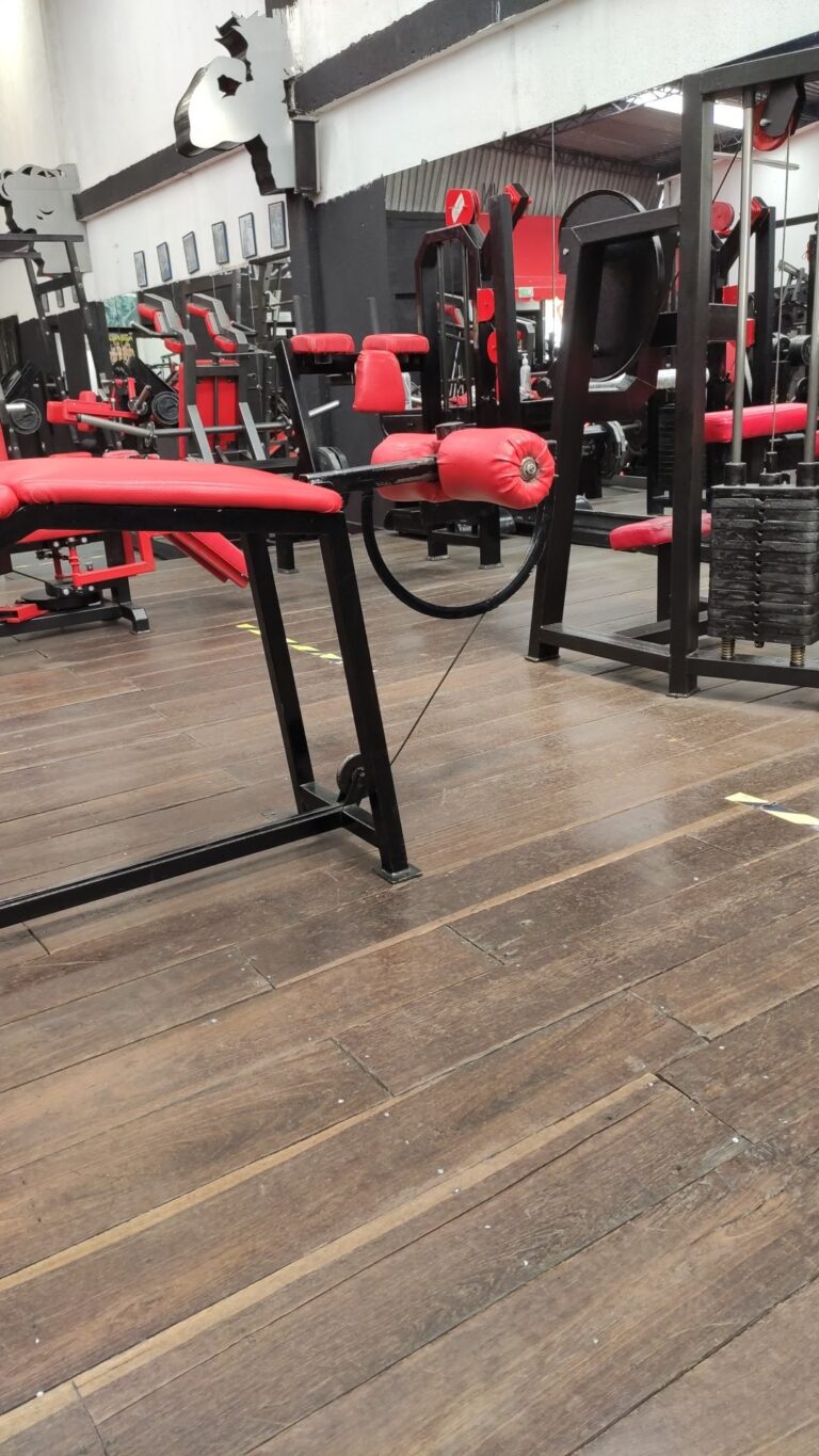 Gimnasio La Roca