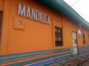 Mandioca Cocina Y Cultura