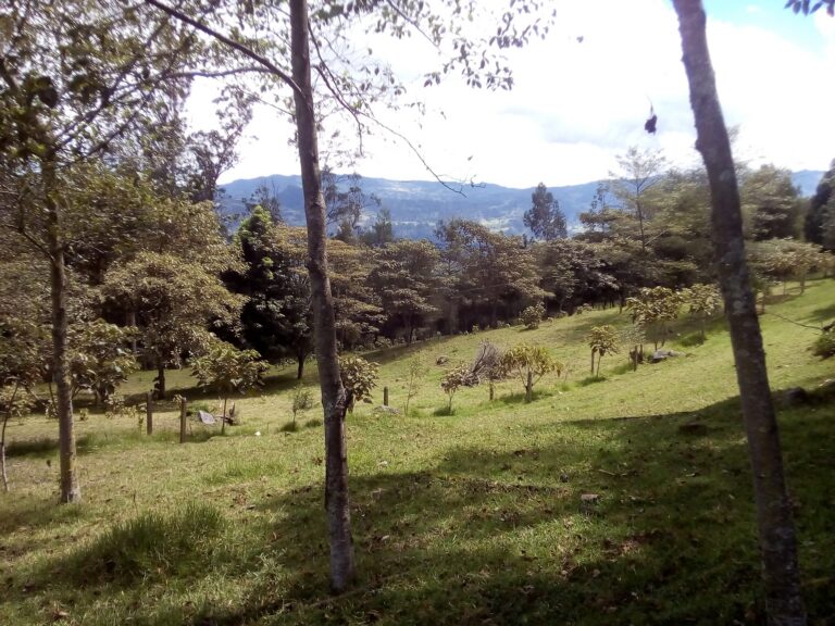 Parador San Miguel Artesano
