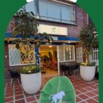 Miniatura de imagen del comercio 1