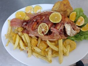 Delipollo Gachala