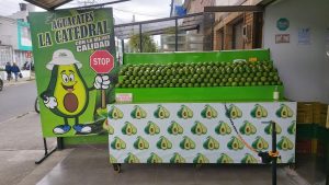 Aguacates La Catedral
