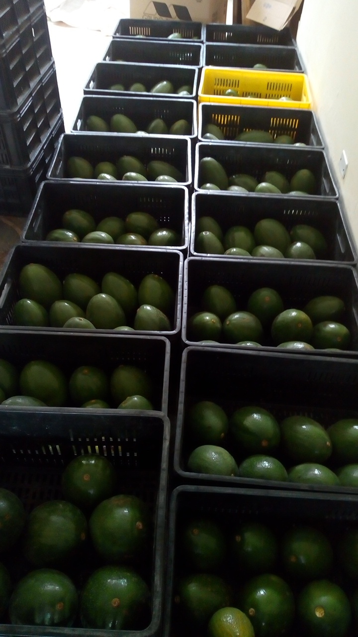 Imagen del comercio