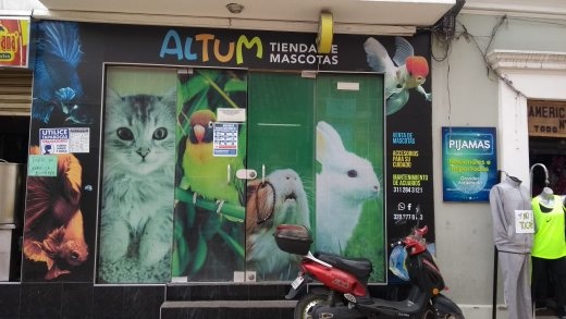 Altum Zipaquira