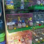 Miniatura de imagen del comercio 2