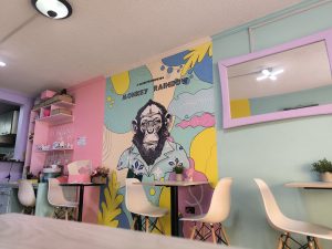 Monkey Rainbow Zipa